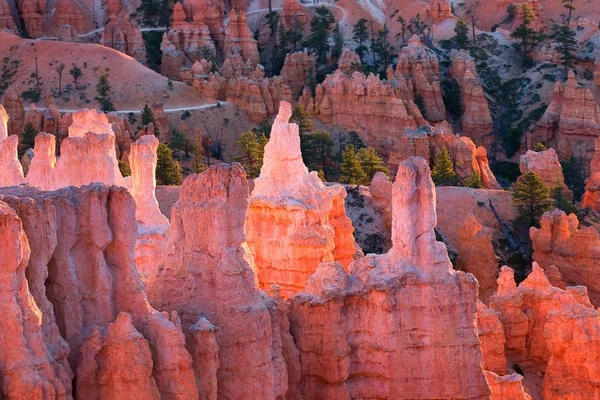 Kırmızı kumtaşı hoodoos Bryce Canyon Ulusal PA doğal görünümünü