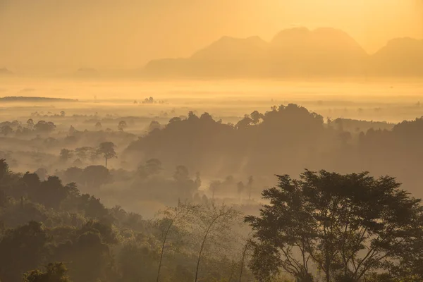 Skogen rundt Hin Pad, Khiri Rat Nikhom-distriktet, Surat Than – stockfoto