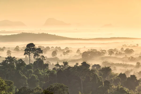 Skogen rundt Hin Pad, Khiri Rat Nikhom-distriktet, Surat Than – stockfoto