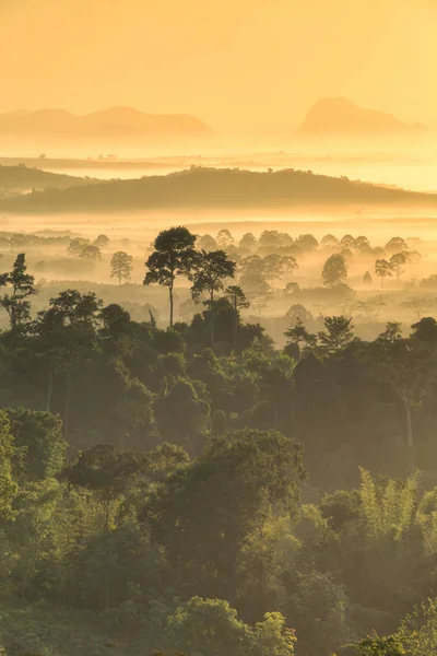 Skogen rundt Hin Pad, Khiri Rat Nikhom-distriktet, Surat Than – stockfoto