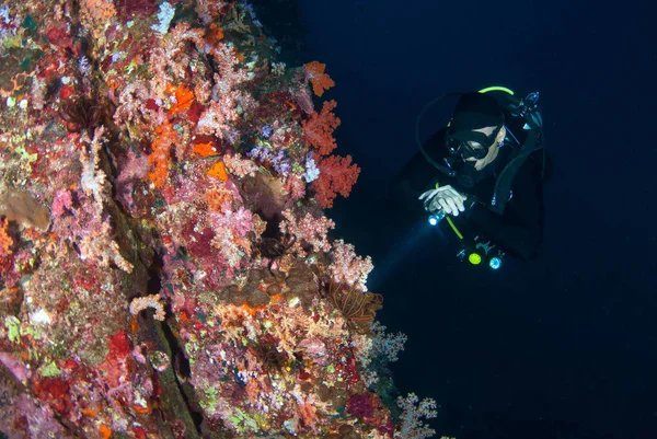 Joven buceo en un hermoso arrecife de coral suave en el sur de A — Foto de Stock