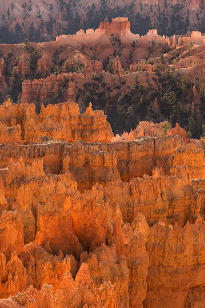 Scenic view of red sandstone hoodoos in Bryce Canyon National Pa — Stock Photo, Image