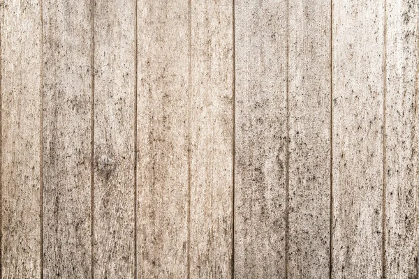 Panneau en bois avec fond de champignon — Photo