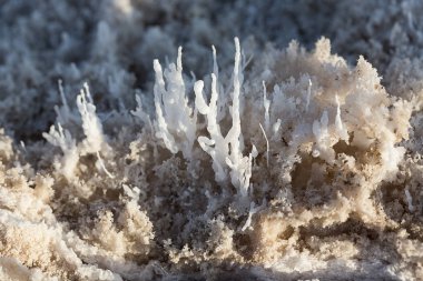 Tuz düzlükler üzerinde zemin arka plan ve doku Death Valley Cali