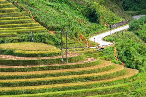 Campos de arroz em terraço na estação chuvosa em Mu Cang Chai, Yen Ba — Fotografia de Stock