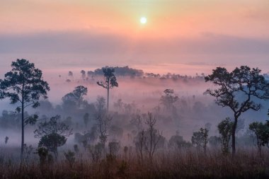 Mulk salaeng Lua sisli sunrise güzel orman manzara