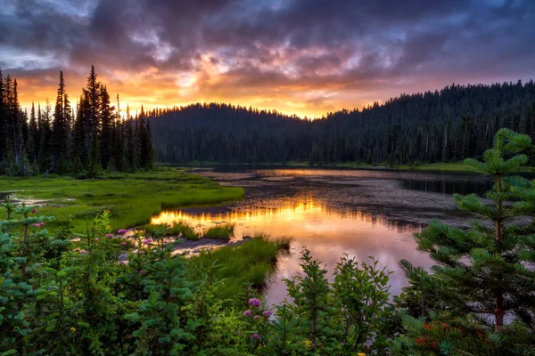 Rainier Dağı doğal görünümünü yansıma lak yansıyan