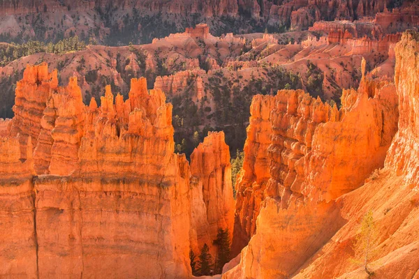 Scenic view of red sandstone hoodoos in Bryce Canyon National Pa — Stock Photo, Image