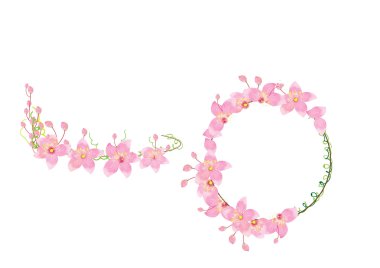 Beyaz arka plan üzerinde izole taç pembe çiçekler,