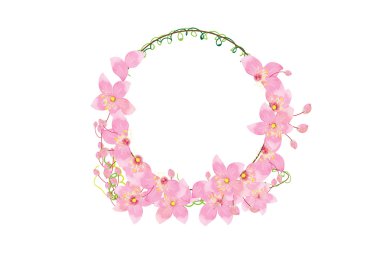 Beyaz arka plan üzerinde izole taç pembe çiçekler,