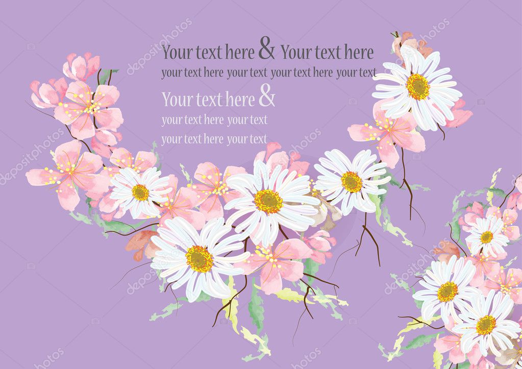 daisy flowers and cherry blossom flowers   for object or background 