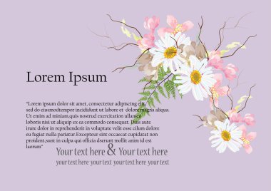davetiye kartı arka plan .çiçekler kart daisy kiraz çiçeği ve fern izole resmi nesne veya arka plan