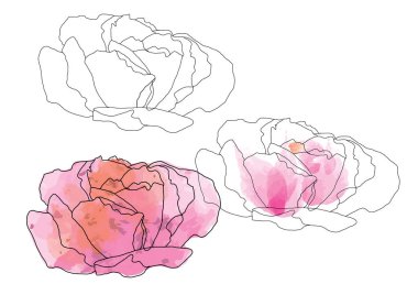 soyut gül çiçek Çizim Hat sanatı nesne veya arka plan