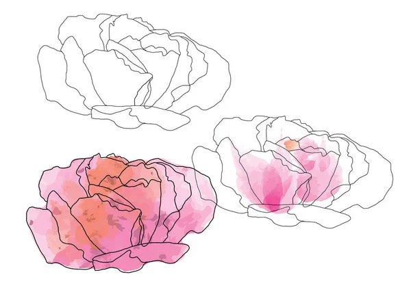 Абстрактні троянди квітка малюнок лінії мистецтва для об'єкта або фону — стоковий вектор