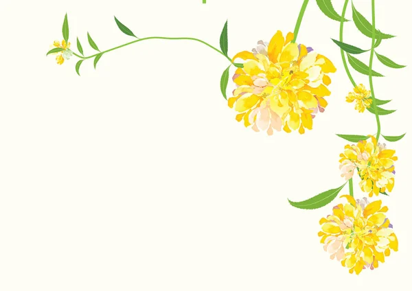 Квітка далії, жовті квіти на білому фоні, векторна ілюстрація — стоковий вектор