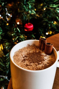 Tarçın ile Türk Salep / Noel yumurta likörü