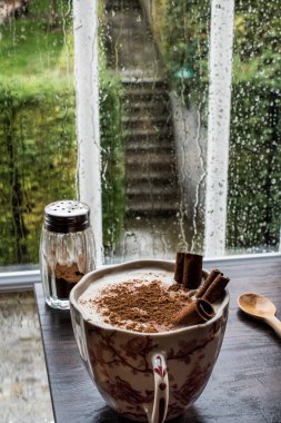 Tarçın ile Türk Salep / Noel yumurta likörü