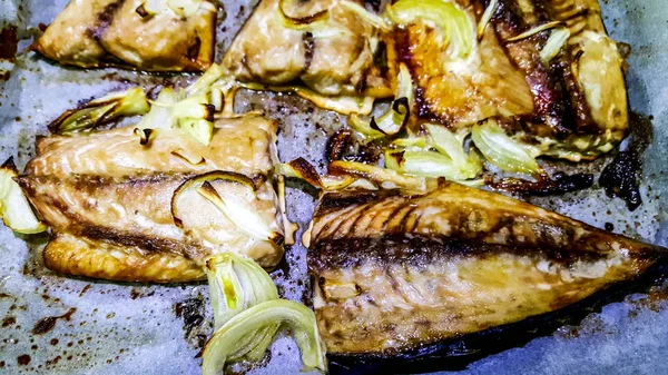 Bonito grelhado (Palamut) Fatias de peixe sobre papel . — Fotografia de Stock