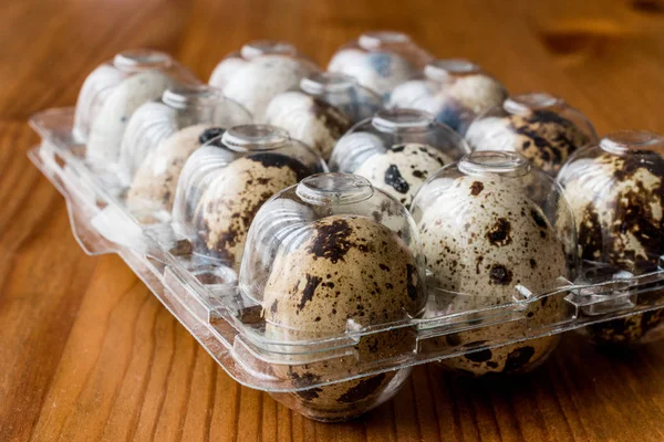 Перепелиные яйца в пластиковой коробке / носителе — стоковое фото