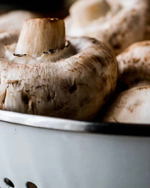 香菜中的生蘑菇. — 图库照片