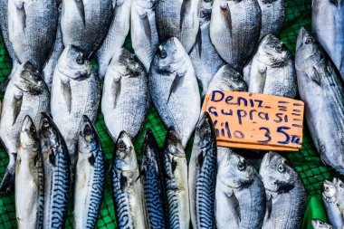 Mavi balık Cinekop ile piyasada
