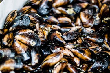 Türk sokak gıda midye dolması / Midye Dolma 