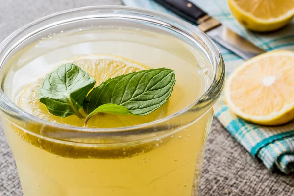 레모네이드 음료와 민트 잎과 레몬 소 다 물. — 스톡 사진