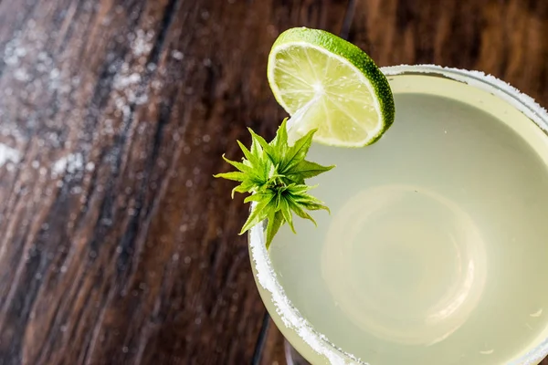 Klasik Margarita kokteyl limon ve tuz. — Stok fotoğraf