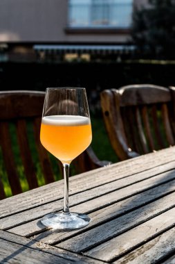 Bellini Garden Şarap kadehi şeftali ile yapılan kokteyl