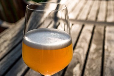 Bellini Garden Şarap kadehi şeftali ile yapılan kokteyl