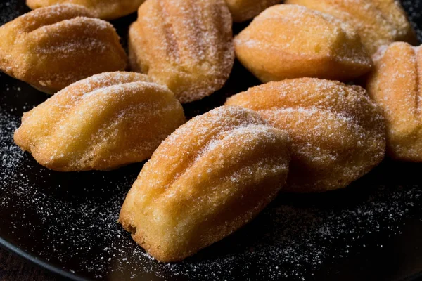 Gâteaux maison Madeleine avec sucre en poudre — Photo