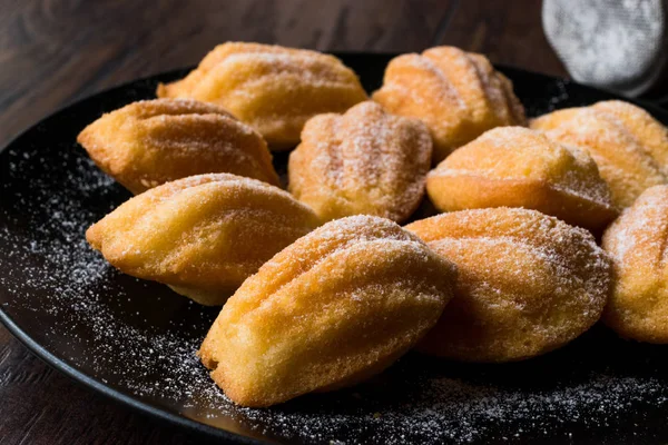 Gâteaux maison Madeleine avec sucre en poudre — Photo