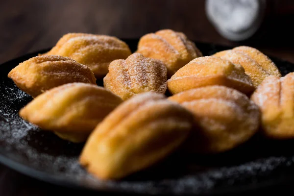 Pasteles de Madeleine caseros con azúcar en polvo — Foto de Stock