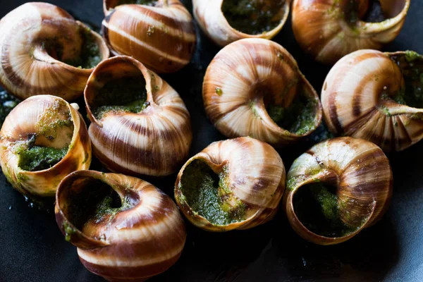 Escargots de Bourgogne - Snail Food with travels butter, France gourmet dische . — стоковое фото