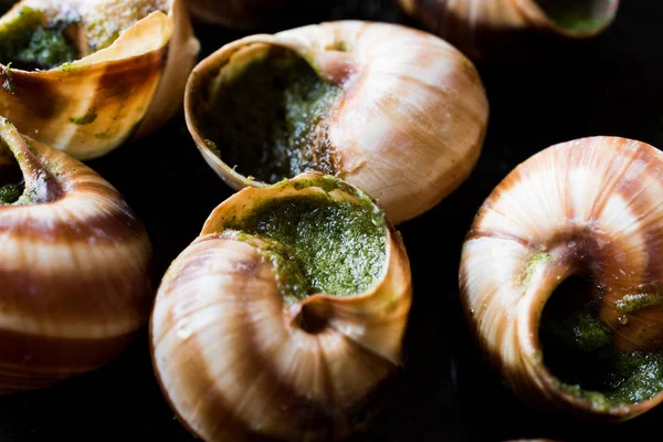 Escargots de Bourgogne - Snail Food with travels butter, France gourmet dische . — стоковое фото