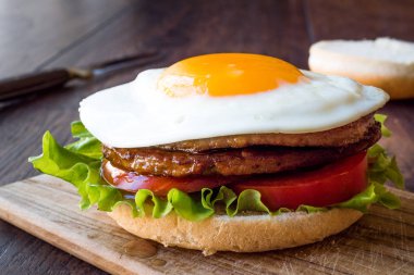 Yumurta, marul ve domates ile çift ev yapımı Hamburger.