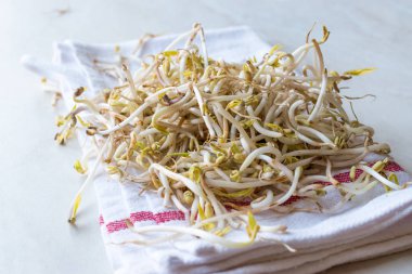 Mungbean / fasulye filizi veya soya