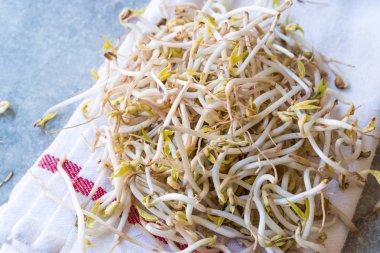 Mungbean / fasulye filizi veya soya