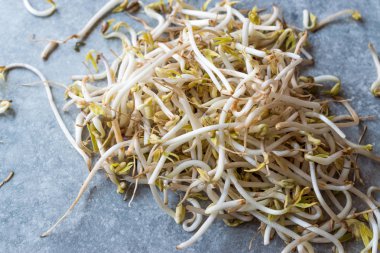 Mungbean / fasulye filizi veya soya