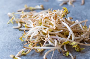 Mungbean / fasulye filizi veya soya