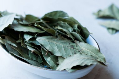 Defne yapraklarından defne ağacı