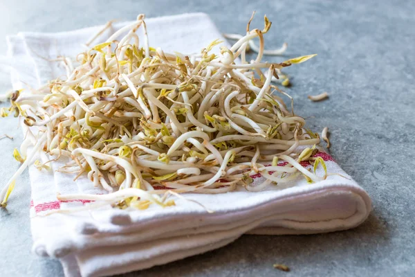 Mungbean / Bean Sprouts of soja — Stockfoto