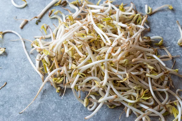 Mungbean / Bean Sprouts of soja — Stockfoto