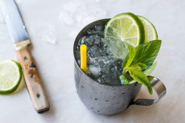Moskova katır kokteyl limon, nane yaprakları ve Metal fincan kırılmış buz ile