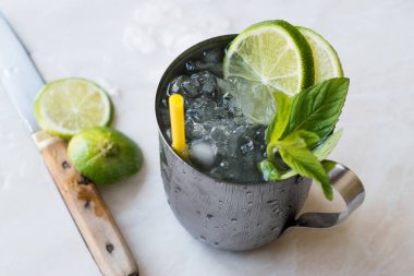 Moskova katır kokteyl limon, nane yaprakları ve Metal fincan kırılmış buz ile