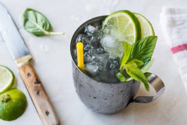 Moskova katır kokteyl limon, nane yaprakları ve Metal fincan kırılmış buz ile
