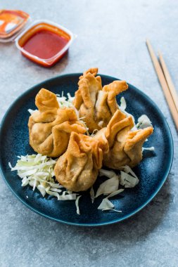 Nepal Geleneksel Kızarmış Börek Momo 'ları Domates Chutney, Schezwan sosu ve lahana salatasıyla servis edilir. Organik Gıda.
