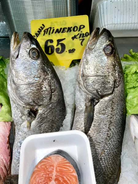 Sciaena Umbra Raw Fish for Sale at Market Bazaar.