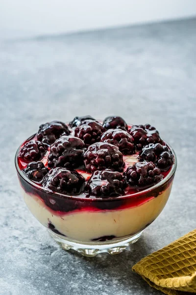 Kefir parfait with BlackBerry and Yoghurt / Yoghurt. — 스톡 사진