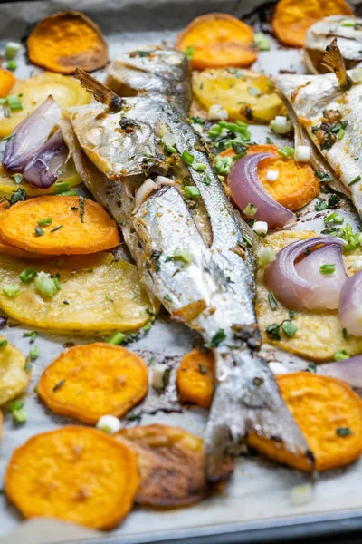 Baked Fish Bluefish met zoete aardappelen op ovenschaal met bakpapier blad / Lufer. Zeevruchten. — Stockfoto